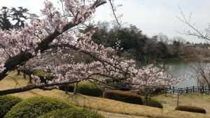 笹尾中央公園