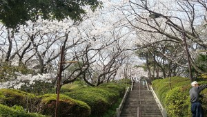 走井山