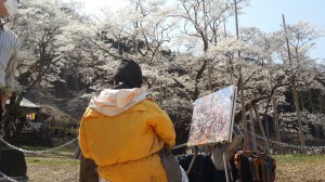 根尾谷の薄墨桜