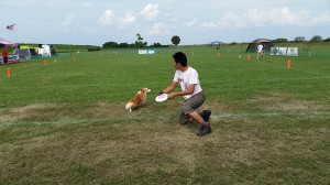 木曽三川ウルトラマラソン試走