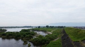 馬飼大橋