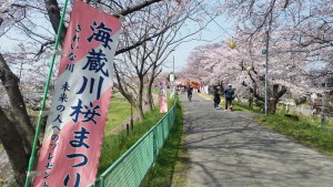海蔵川桜祭り