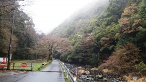 多度山トレイル