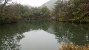 国の天然記念物多度のイヌナシ自生地