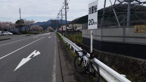 淡墨桜まで２０Km