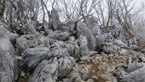 藤原岳の　雪