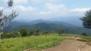 山頂の風景