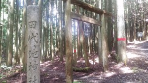 田代池神社