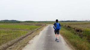 田んぼの中の東海道