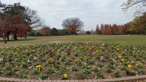 庄内緑地公園