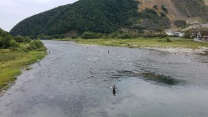 根尾川の釣り