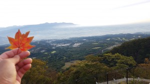 上ノ山公園 ときめきデッキ