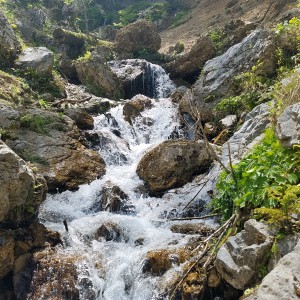 聖宝寺側下山