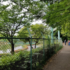 動物園にある池の所の横