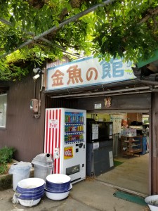 郡山金魚資料館