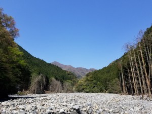 青川峡
