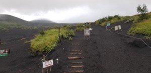 登りはじめ