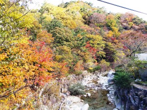 朝明キャンプ場