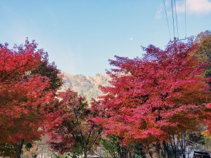 朝明キャンプ場