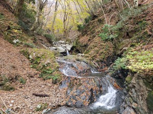 滋賀県側