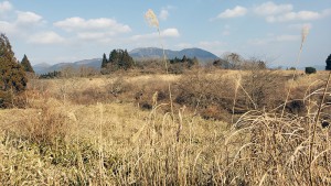 池の平高原