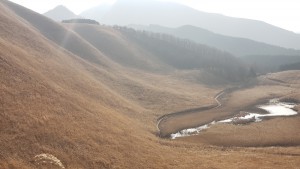 曽爾高原