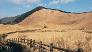 曽爾高原