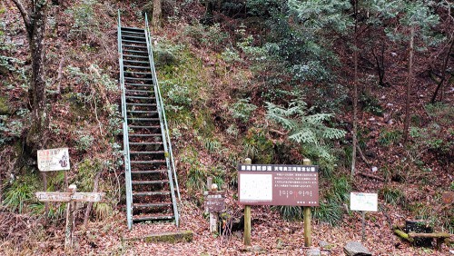 登り