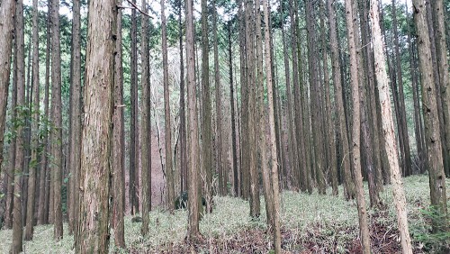 宇連山