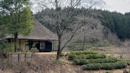 田舎の風景