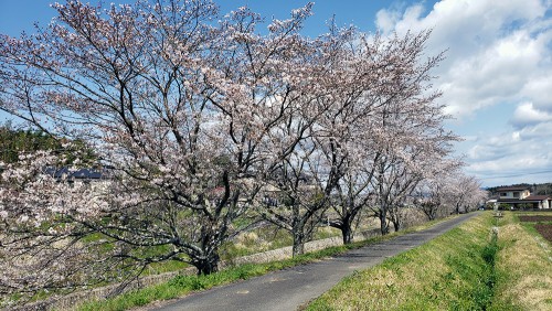 塩河公民館