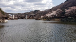 少し登ったところにある小渕ダム