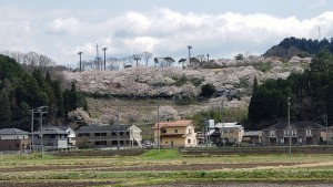 みたけの森の桜