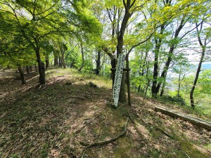 山本山